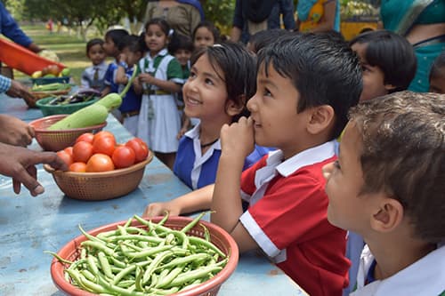 Shivalik Academy gallery